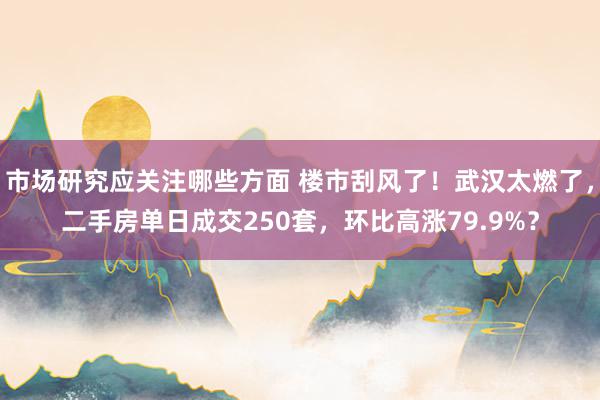 市场研究应关注哪些方面 楼市刮风了！武汉太燃了，二手房单日成交250套，环比高涨79.9%？