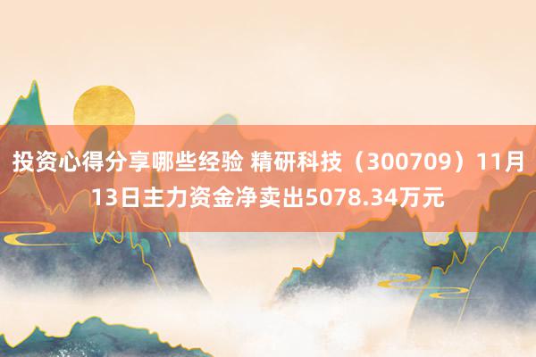 投资心得分享哪些经验 精研科技（300709）11月13日主力资金净卖出5078.34万元