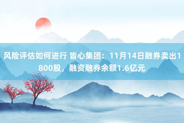 风险评估如何进行 皆心集团：11月14日融券卖出1800股，融资融券余额1.6亿元