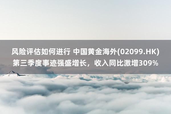 风险评估如何进行 中国黄金海外(02099.HK)第三季度事迹强盛增长，收入同比激增309%