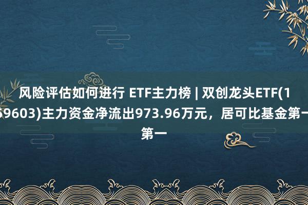 风险评估如何进行 ETF主力榜 | 双创龙头ETF(159603)主力资金净流出973.96万元，居可比基金第一