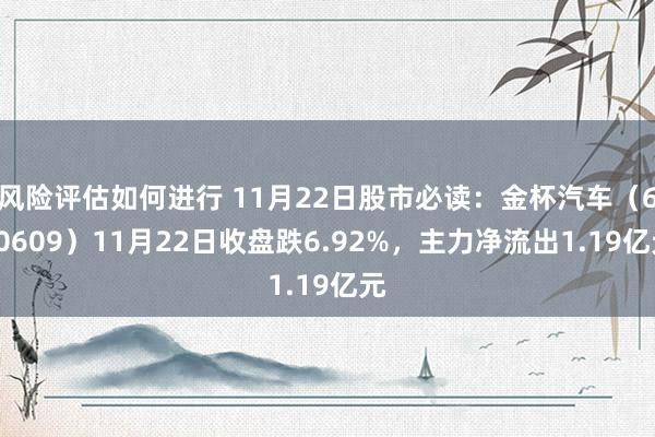 风险评估如何进行 11月22日股市必读：金杯汽车（600609）11月22日收盘跌6.92%，主力净流出1.19亿元