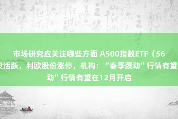 市场研究应关注哪些方面 A500指数ETF（560610）交投活跃，利欧股份涨停，机构：“春季躁动”行情有望在12月开启