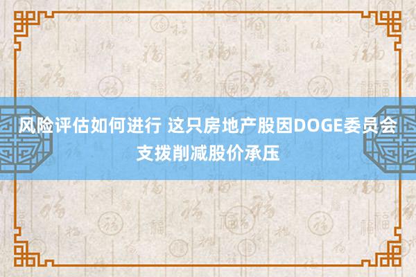 风险评估如何进行 这只房地产股因DOGE委员会支拨削减股价承压