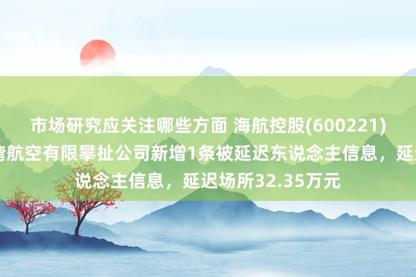 市场研究应关注哪些方面 海航控股(600221)控股的广西北部湾航空有限攀扯公司新增1条被延迟东说念主信息，延迟场所32.35万元