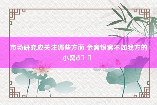 市场研究应关注哪些方面 金窝银窝不如我方的小窝🏠