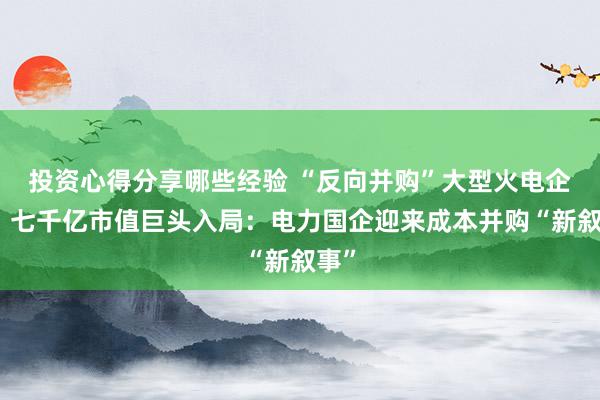 投资心得分享哪些经验 “反向并购”大型火电企业、七千亿市值巨头入局：电力国企迎来成本并购“新叙事”