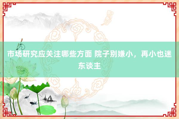 市场研究应关注哪些方面 院子别嫌小，再小也迷东谈主