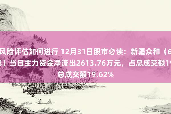 风险评估如何进行 12月31日股市必读：新疆众和（600888）当日主力资金净流出2613.76万元，占总成交额19.62%