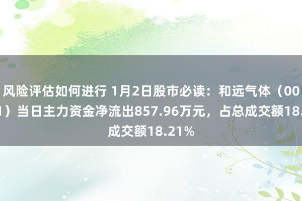 风险评估如何进行 1月2日股市必读：和远气体（002971）当日主力资金净流出857.96万元，占总成交额18.21%