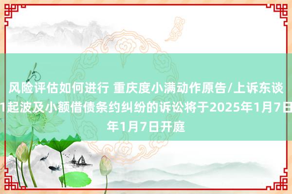 风险评估如何进行 重庆度小满动作原告/上诉东谈主的1起波及小额借债条约纠纷的诉讼将于2025年1月7日开庭