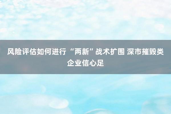 风险评估如何进行 “两新”战术扩围 深市摧毁类企业信心足