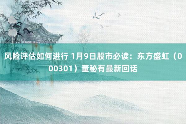 风险评估如何进行 1月9日股市必读：东方盛虹（000301）董秘有最新回话