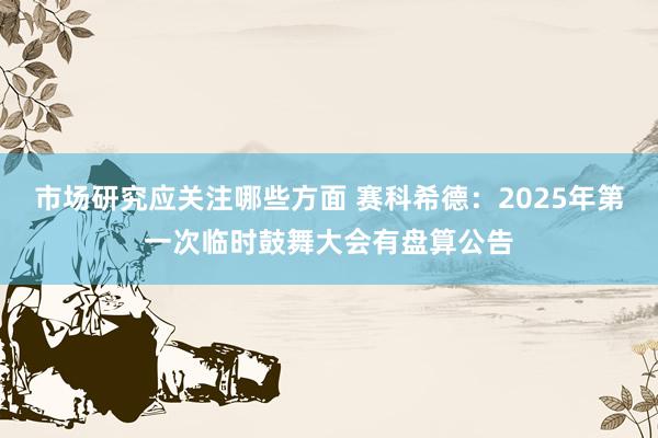 市场研究应关注哪些方面 赛科希德：2025年第一次临时鼓舞大会有盘算公告