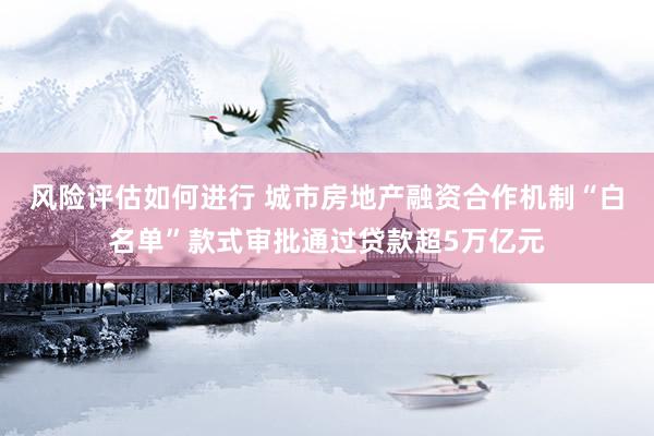 风险评估如何进行 城市房地产融资合作机制“白名单”款式审批通过贷款超5万亿元