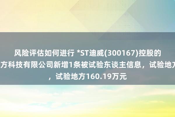 风险评估如何进行 *ST迪威(300167)控股的深圳市迪威立方科技有限公司新增1条被试验东谈主信息，试验地方160.19万元