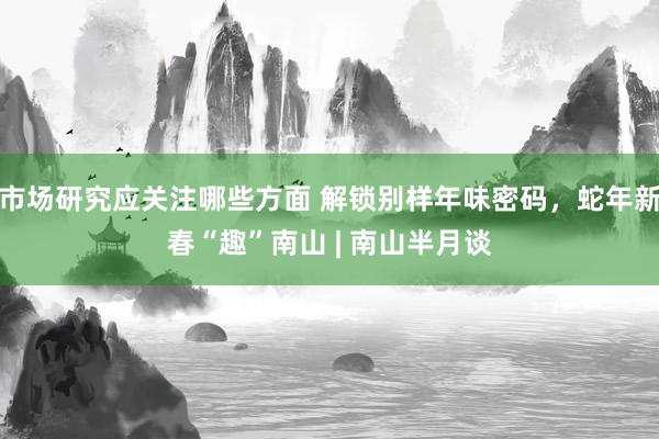 市场研究应关注哪些方面 解锁别样年味密码，蛇年新春“趣”南山 | 南山半月谈