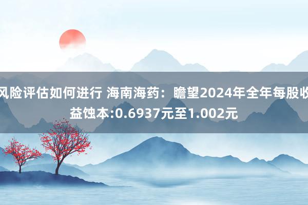 风险评估如何进行 海南海药：瞻望2024年全年每股收益蚀本:0.6937元至1.002元