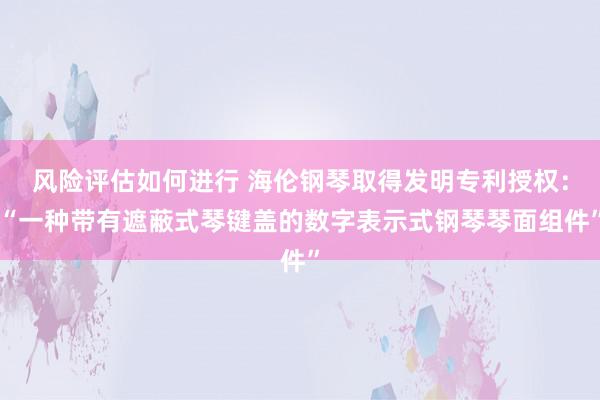 风险评估如何进行 海伦钢琴取得发明专利授权：“一种带有遮蔽式琴键盖的数字表示式钢琴琴面组件”