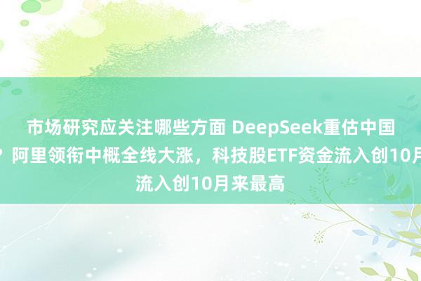 市场研究应关注哪些方面 DeepSeek重估中国AI财富？阿里领衔中概全线大涨，科技股ETF资金流入创10月来最高