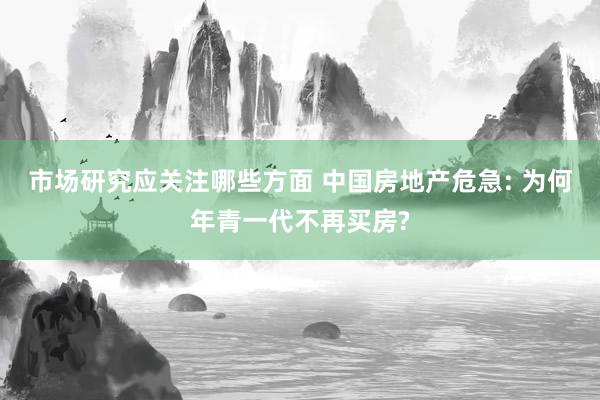 市场研究应关注哪些方面 中国房地产危急: 为何年青一代不再买房?