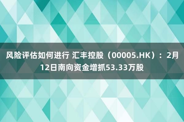 风险评估如何进行 汇丰控股（00005.HK）：2月12日南向资金增抓53.33万股