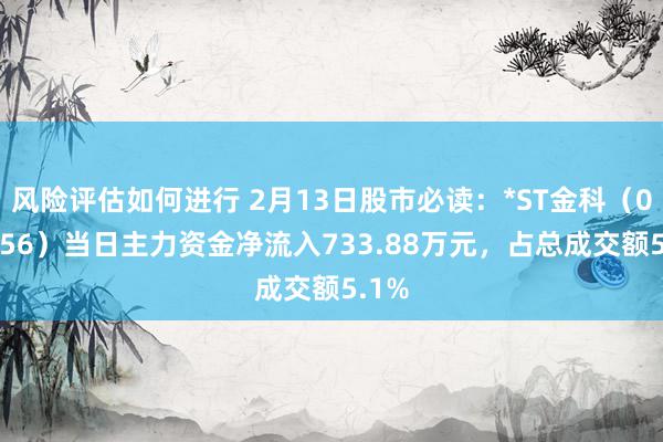 风险评估如何进行 2月13日股市必读：*ST金科（000656）当日主力资金净流入733.88万元，占总成交额5.1%