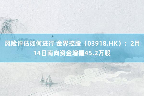 风险评估如何进行 金界控股（03918.HK）：2月14日南向资金增握45.2万股