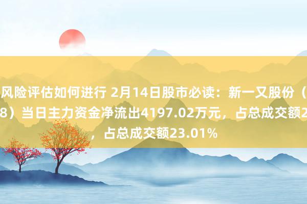 风险评估如何进行 2月14日股市必读：新一又股份（002328）当日主力资金净流出4197.02万元，占总成交额23.01%