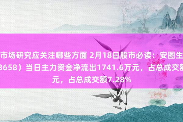 市场研究应关注哪些方面 2月18日股市必读：安图生物（603658）当日主力资金净流出1741.6万元，占总成交额7.28%