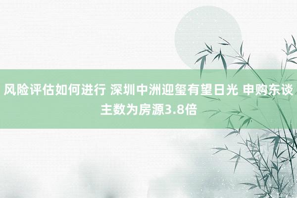 风险评估如何进行 深圳中洲迎玺有望日光 申购东谈主数为房源3.8倍