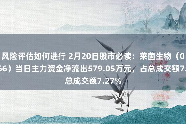 风险评估如何进行 2月20日股市必读：莱茵生物（002166）当日主力资金净流出579.05万元，占总成交额7.27%