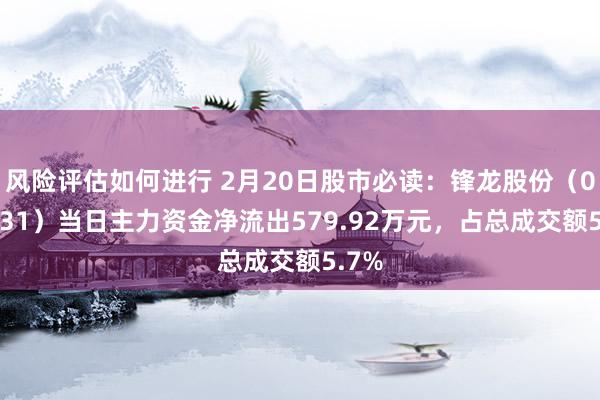 风险评估如何进行 2月20日股市必读：锋龙股份（002931）当日主力资金净流出579.92万元，占总成交额5.7%