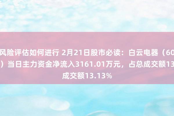 风险评估如何进行 2月21日股市必读：白云电器（603861）当日主力资金净流入3161.01万元，占总成交额13.13%