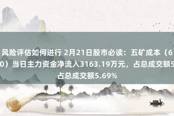 风险评估如何进行 2月21日股市必读：五矿成本（600390）当日主力资金净流入3163.19万元，占总成交额5.69%