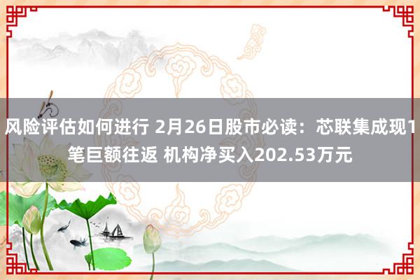 风险评估如何进行 2月26日股市必读：芯联集成现1笔巨额往返 机构净买入202.53万元