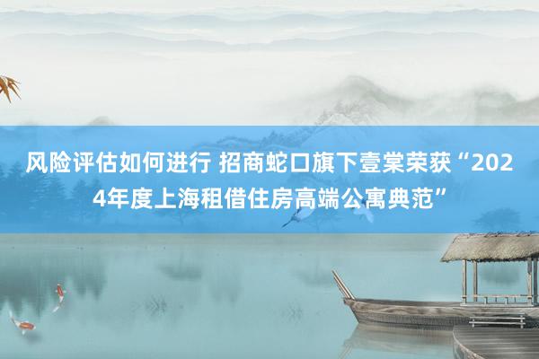 风险评估如何进行 招商蛇口旗下壹棠荣获“2024年度上海租借住房高端公寓典范”