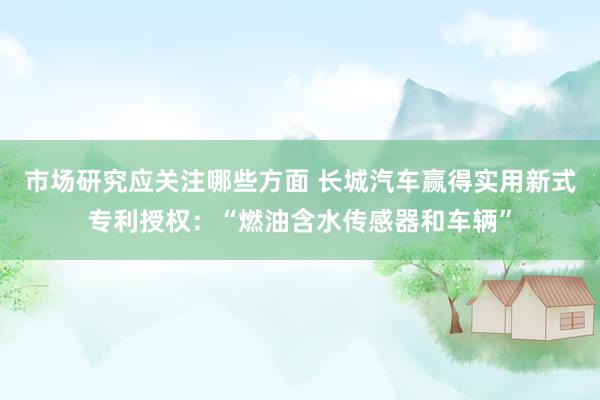 市场研究应关注哪些方面 长城汽车赢得实用新式专利授权：“燃油含水传感器和车辆”