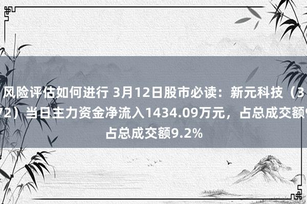 风险评估如何进行 3月12日股市必读：新元科技（300472）当日主力资金净流入1434.09万元，占总成交额9.2%