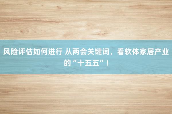 风险评估如何进行 从两会关键词，看软体家居产业的“十五五”！