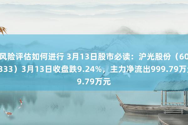 风险评估如何进行 3月13日股市必读：沪光股份（605333）3月13日收盘跌9.24%，主力净流出999.79万元