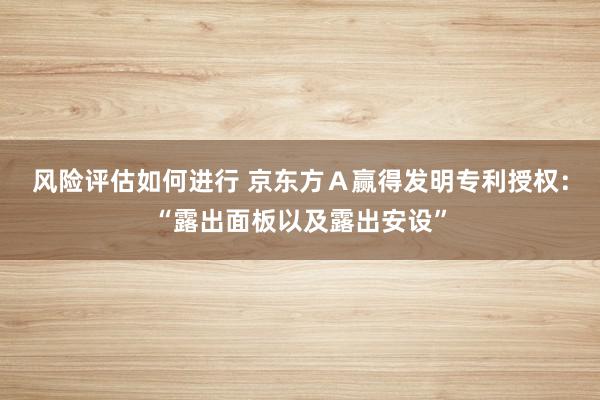 风险评估如何进行 京东方Ａ赢得发明专利授权：“露出面板以及露出安设”