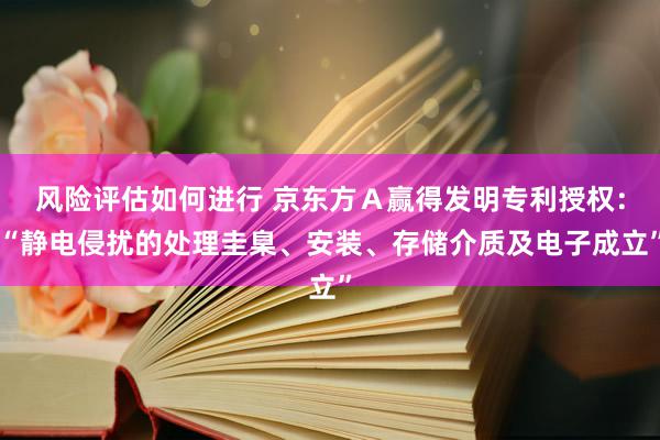 风险评估如何进行 京东方Ａ赢得发明专利授权：“静电侵扰的处理圭臬、安装、存储介质及电子成立”