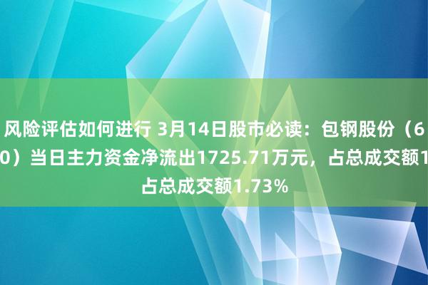 风险评估如何进行 3月14日股市必读：包钢股份（600010）当日主力资金净流出1725.71万元，占总成交额1.73%